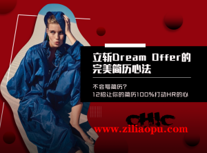 Chic原醉-立斩DreamOffer的完美简历心法